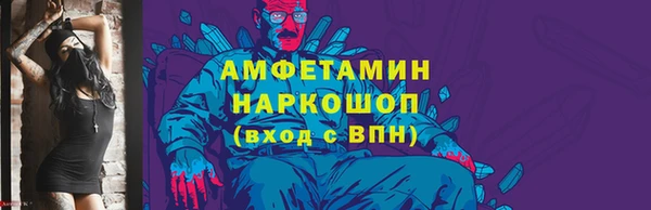 индика Бородино